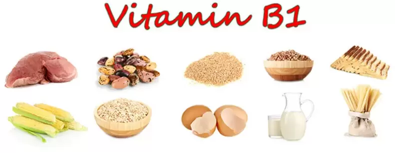 vitamine B1 dans les produits pour la puissance